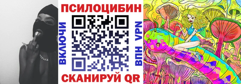 Псилоцибиновые грибы Cubensis  дарнет шоп  Губаха 